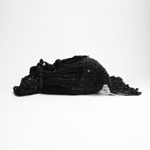 INDIA/mostacilla negra