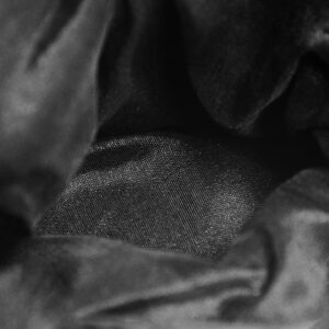 INDIA/mostacilla negra: imagen 9