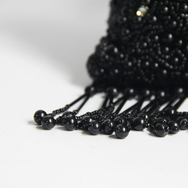 INDIA/mostacilla negra